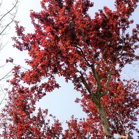 Country House Una 3*