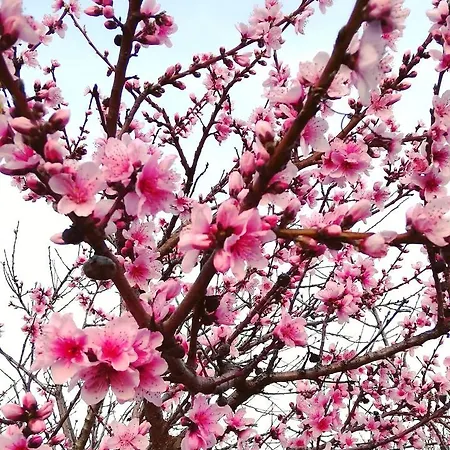 Hotel Country House Una 3*