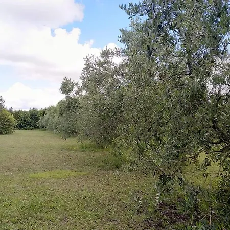 Country House Una 3*